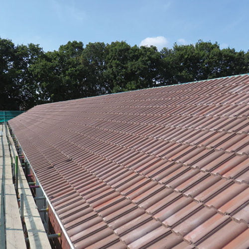 Roof tiles and scaffold